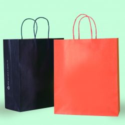 Plain Coloured Paper Bags + Handles